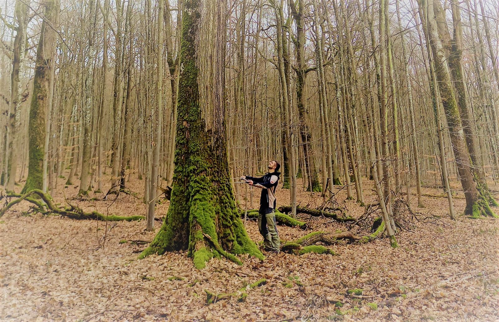 Le nouveau préposé au tirage forestier Luca Sannipoli se présente