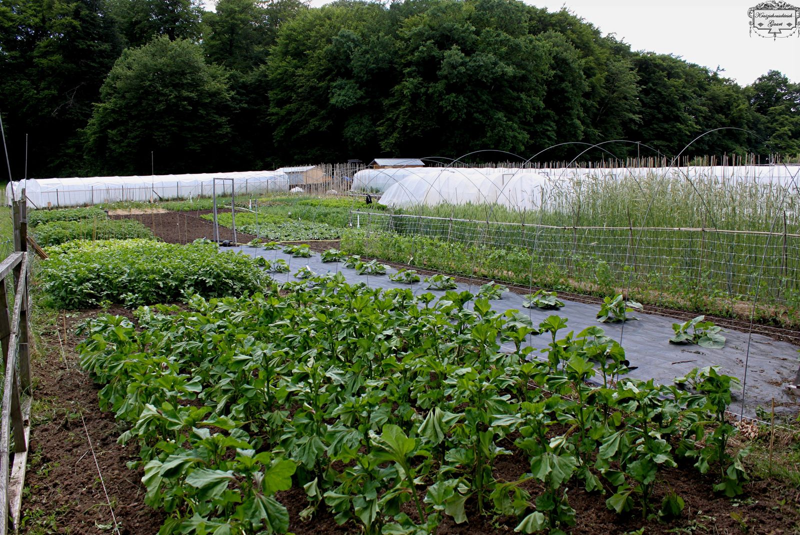 Un jardin pas comme les autres