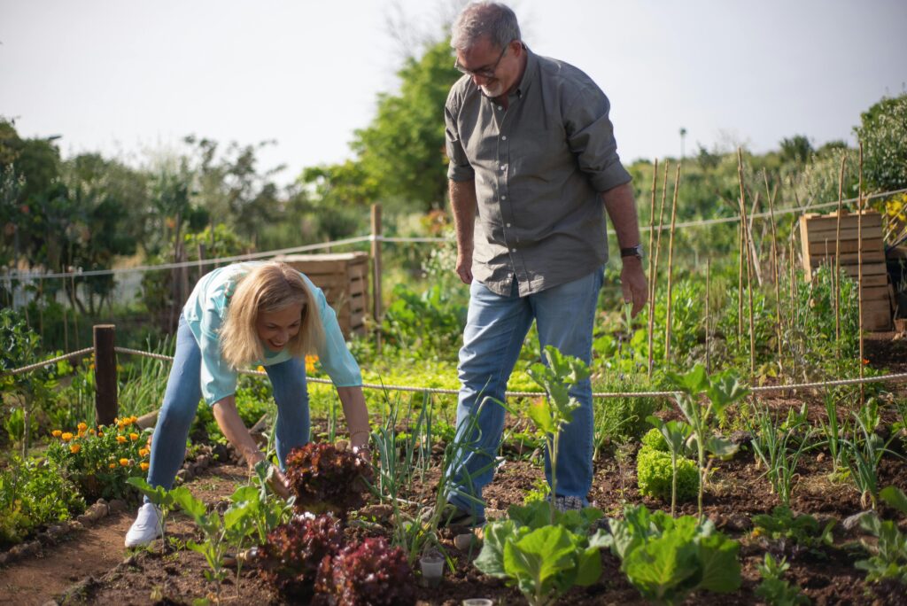 Jardin communautaire