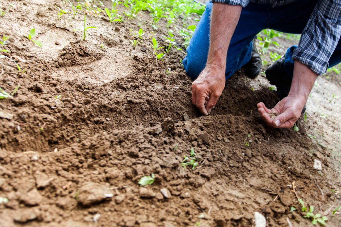 Vacance de poste / jardinier / pépiniériste (m/f/x)
