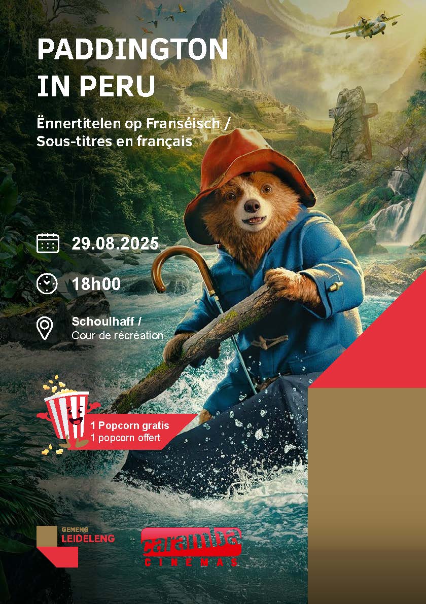 Paddington in Peru