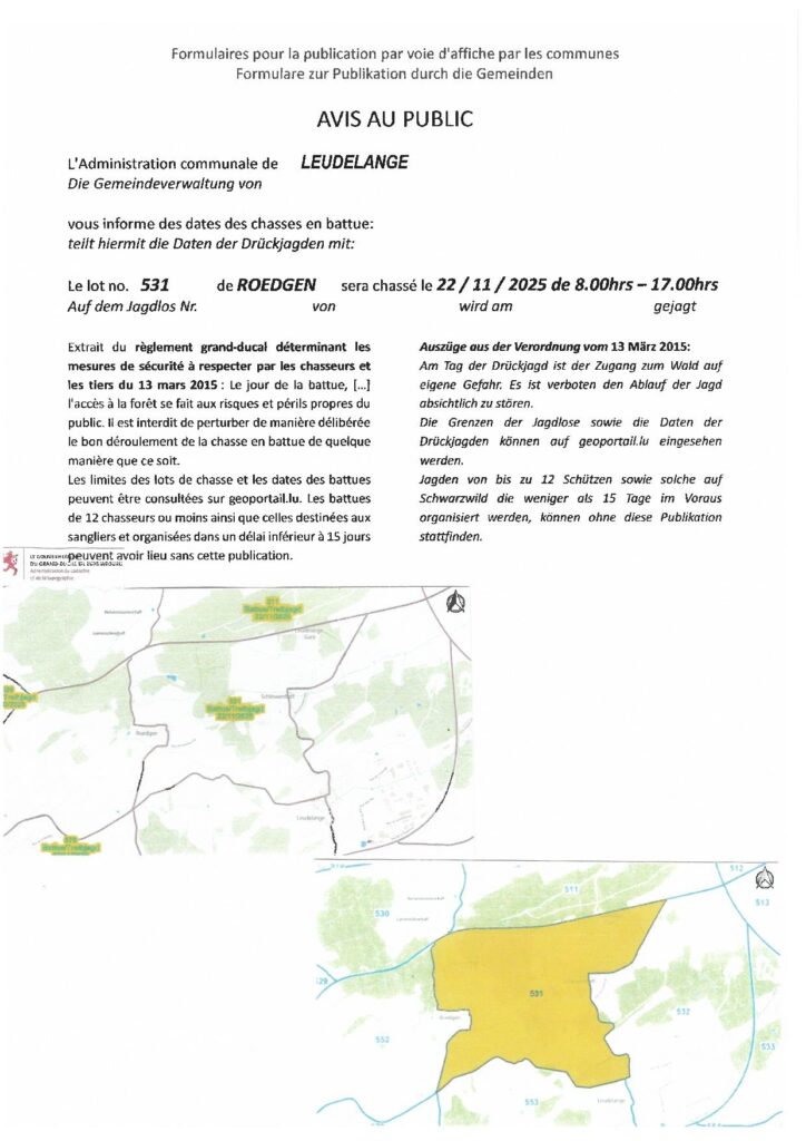 Avis de chasse / Lot 531