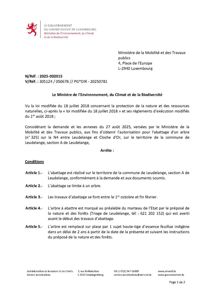 Abattage d&rsquo;un arbre