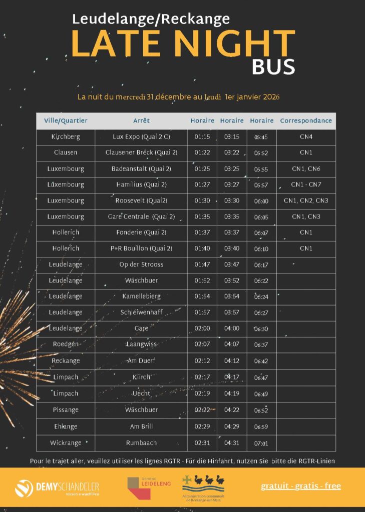 Late Night Bus Nouvelle An Lux Expo