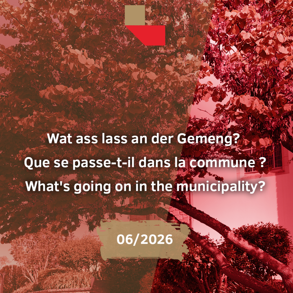 Que se passe-t-il dans la commune ? What’s going on in the municipality?