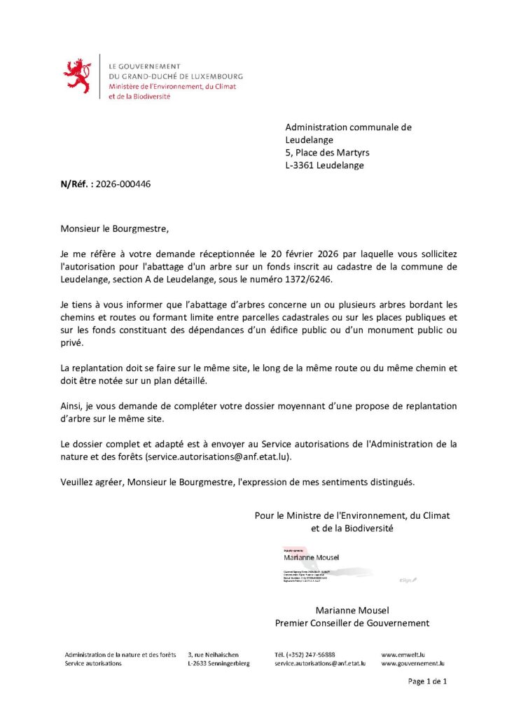 Demande – abbatage d&rsquo;un arbre