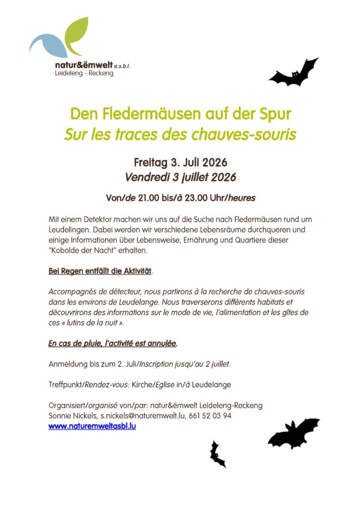 Sur les traces des chauves-souris