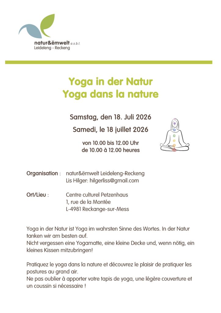 Yoga dans la nature