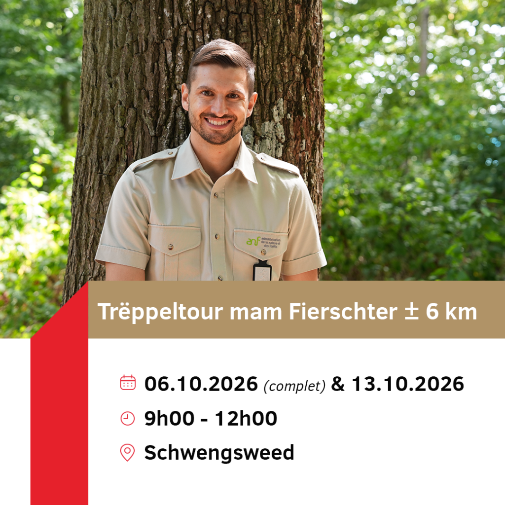 Trëppeltour mam Fierschter