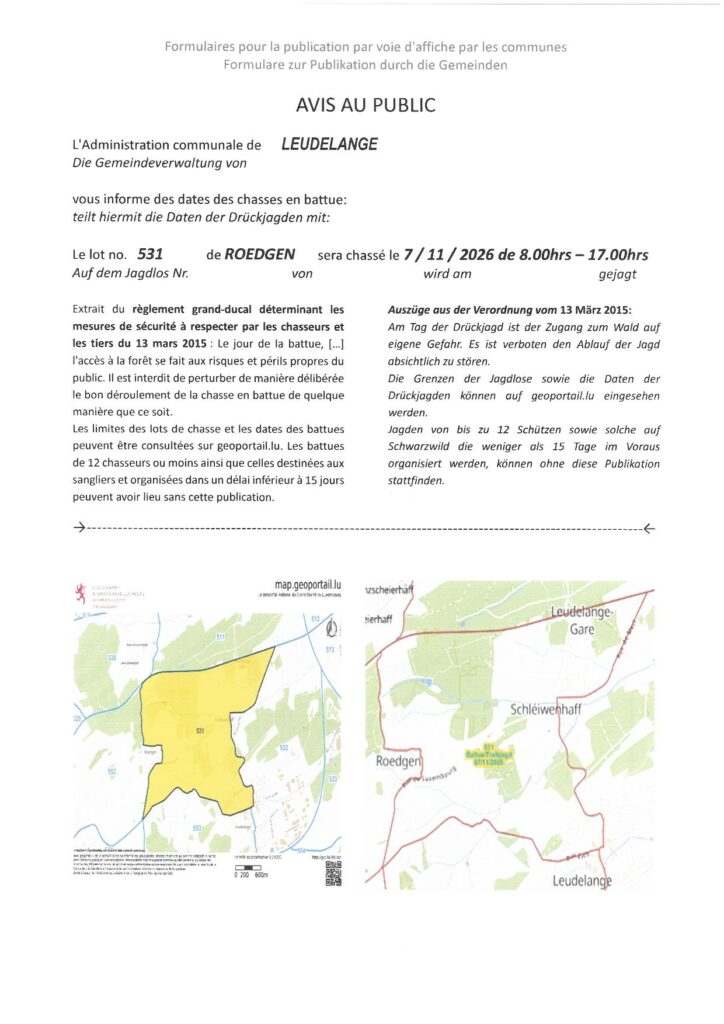 Avis Chasse battue Lot 531