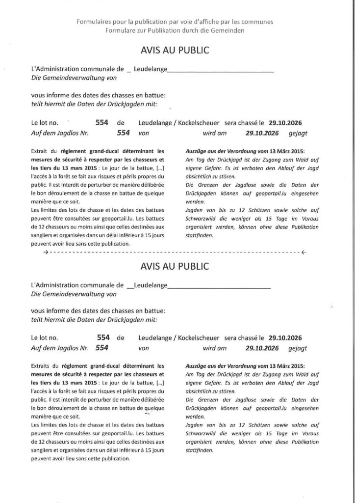 Avis chasse battue lot 554